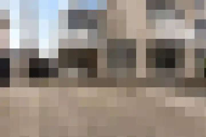 Zilverschoon 25 Genemuiden thumbnail 10