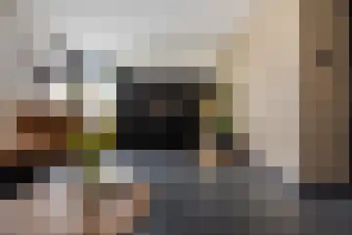 Zilverschoon 25 Genemuiden thumbnail 15