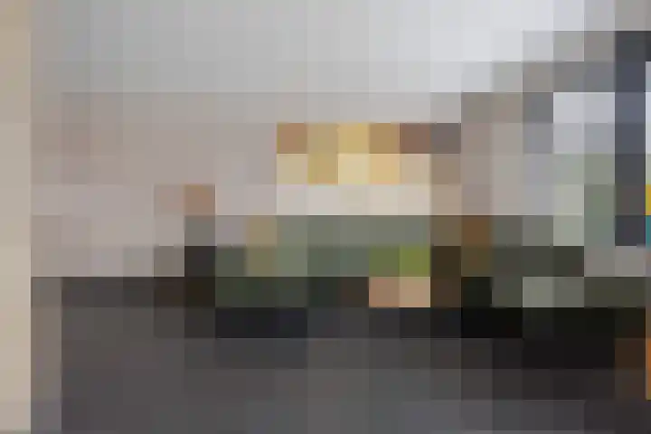 Zilverschoon 25 Genemuiden thumbnail 16