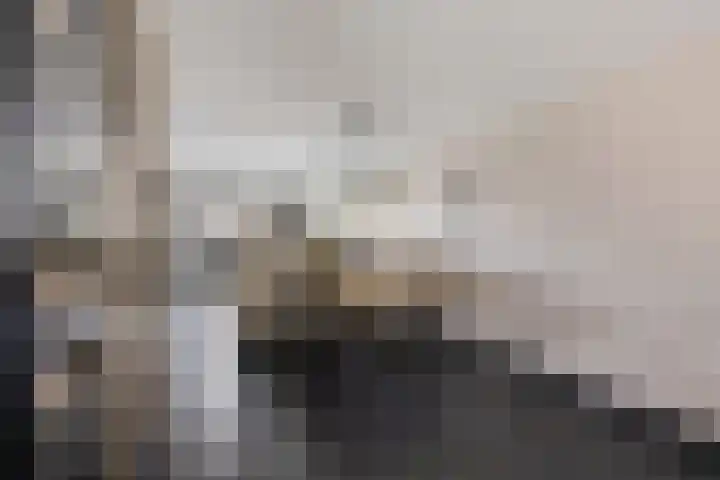 Zilverschoon 25 Genemuiden thumbnail 17