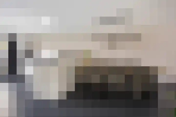 Zilverschoon 25 Genemuiden thumbnail 18