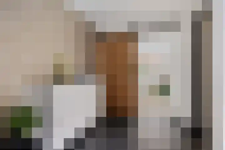 Zilverschoon 25 Genemuiden thumbnail 20