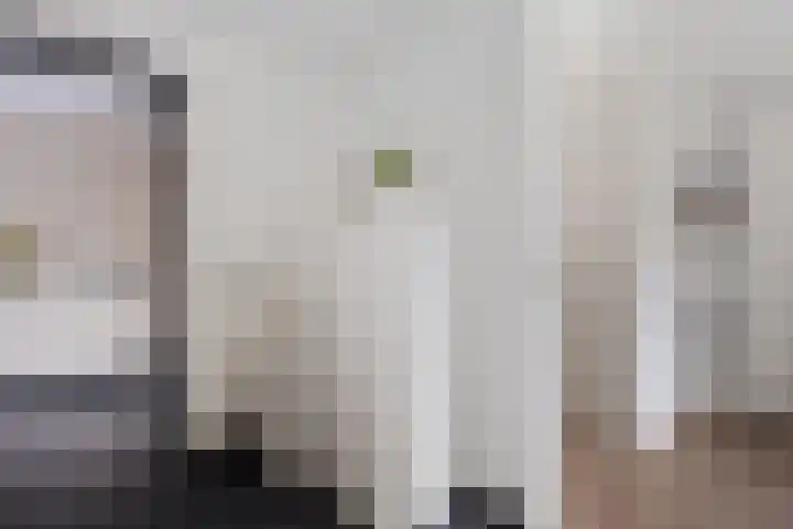 Zilverschoon 25 Genemuiden thumbnail 21