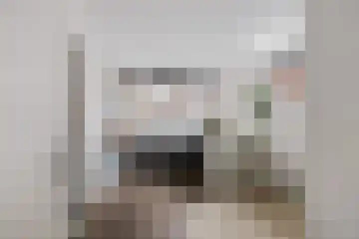 Zilverschoon 25 Genemuiden thumbnail 22