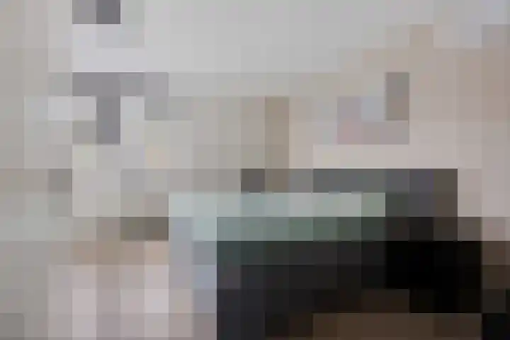 Zilverschoon 25 Genemuiden thumbnail 24