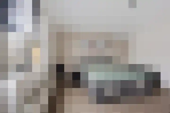 Zilverschoon 25 Genemuiden thumbnail 25