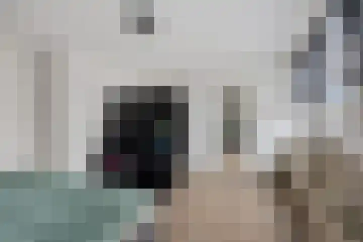 Zilverschoon 25 Genemuiden thumbnail 26