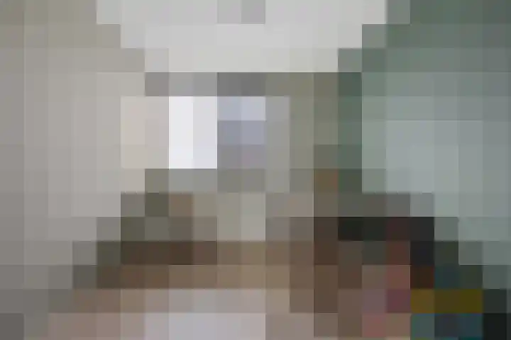 Zilverschoon 25 Genemuiden thumbnail 28