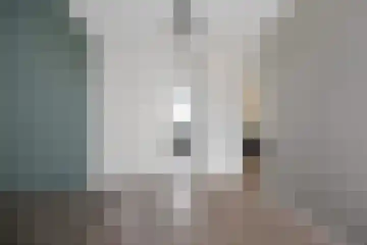 Zilverschoon 25 Genemuiden thumbnail 29