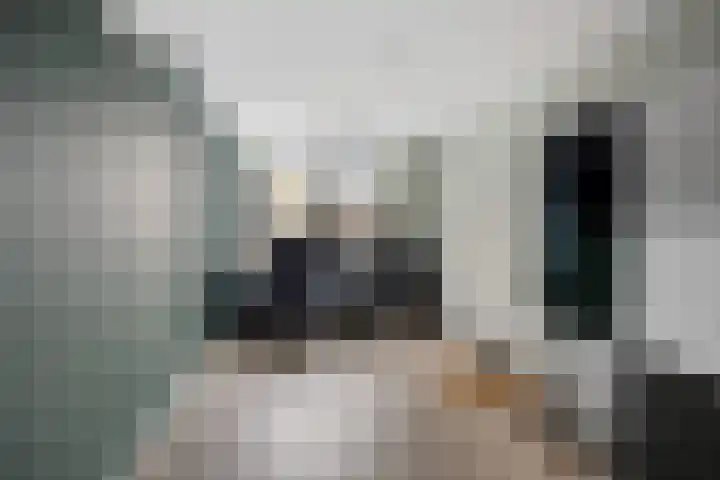 Zilverschoon 25 Genemuiden thumbnail 30