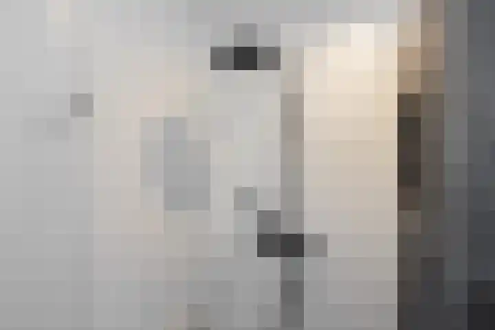 Zilverschoon 25 Genemuiden thumbnail 37