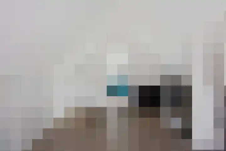 Zilverschoon 25 Genemuiden thumbnail 39