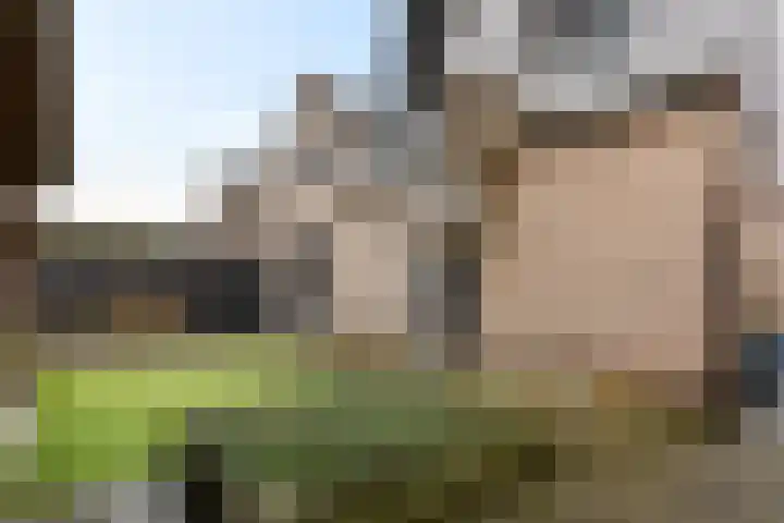 Zilverschoon 25 Genemuiden thumbnail 42