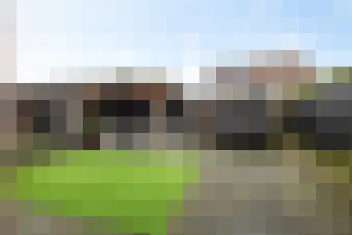 Zilverschoon 25 Genemuiden thumbnail 43