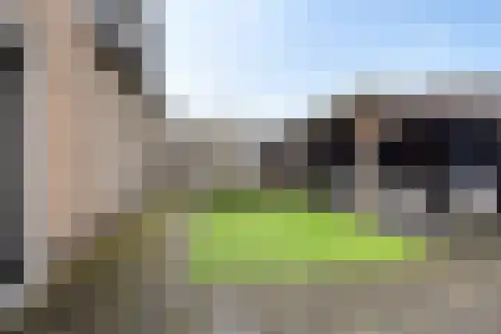 Zilverschoon 25 Genemuiden thumbnail 44