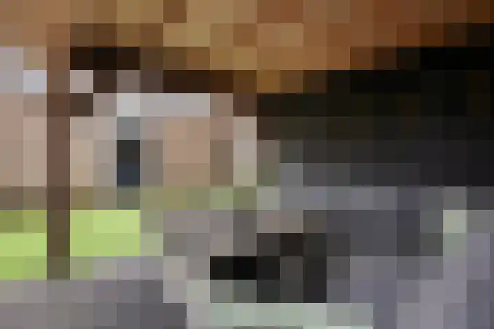 Zilverschoon 25 Genemuiden thumbnail 45
