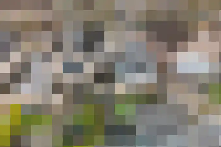 Zilverschoon 25 Genemuiden thumbnail 46