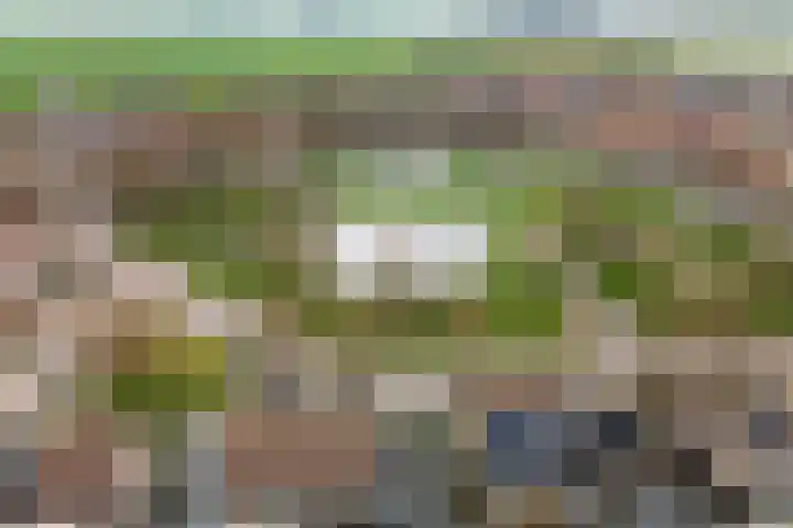 Zilverschoon 25 Genemuiden thumbnail 47