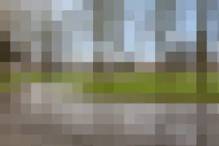 Zilverschoon 25 Genemuiden thumbnail 49