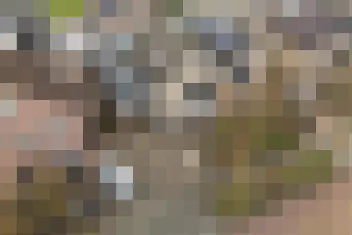 Zilverschoon 25 Genemuiden thumbnail 5
