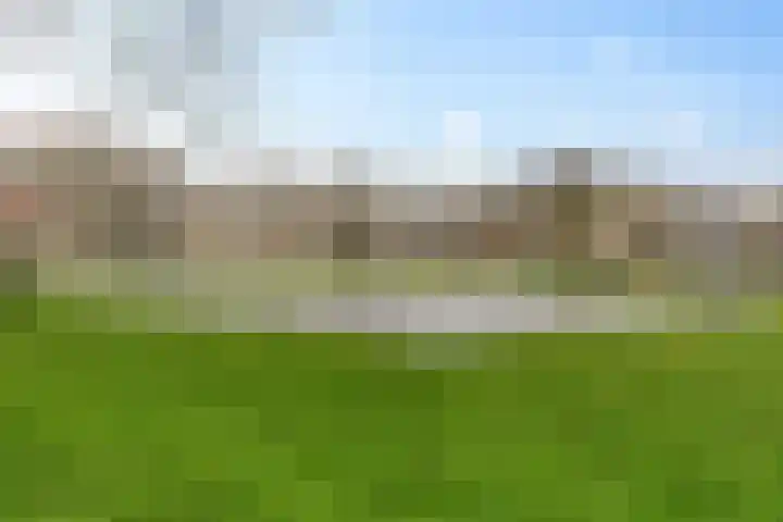 Zilverschoon 25 Genemuiden thumbnail 50