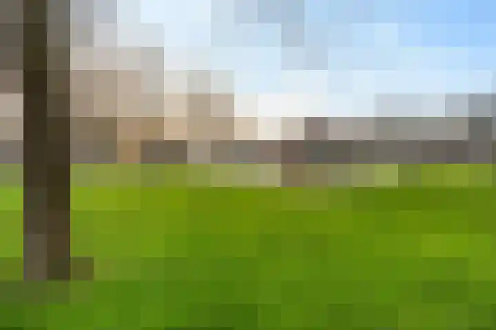 Zilverschoon 25 Genemuiden thumbnail 51
