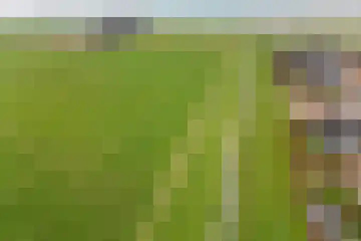 Zilverschoon 25 Genemuiden thumbnail 52