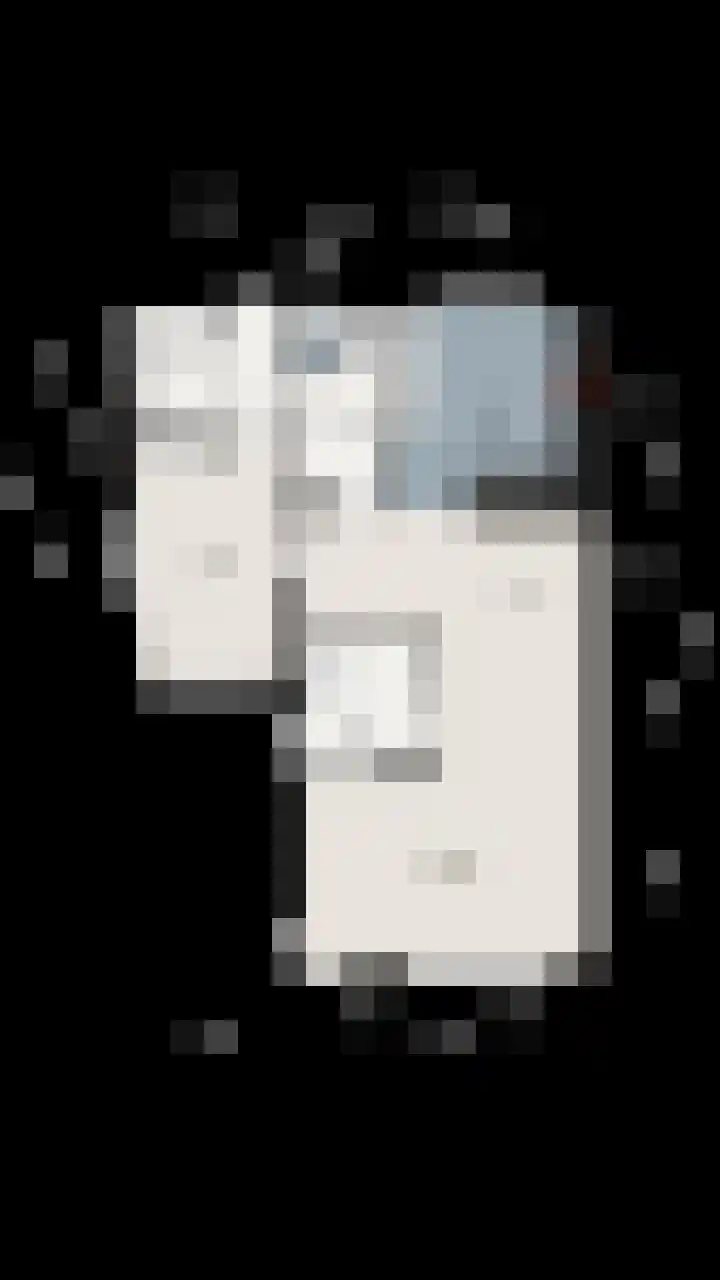 Zilverschoon 25 Genemuiden thumbnail 53
