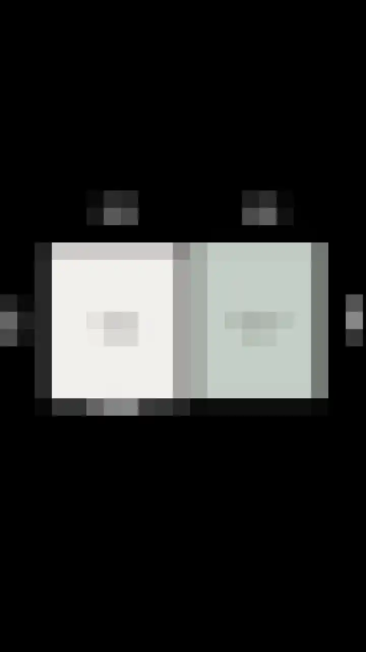 Zilverschoon 25 Genemuiden thumbnail 56