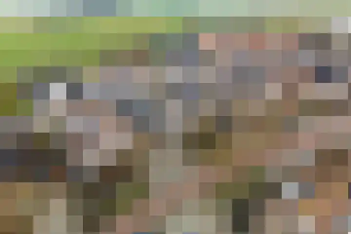Zilverschoon 25 Genemuiden thumbnail 6