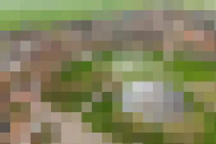 Zilverschoon 25 Genemuiden thumbnail 7