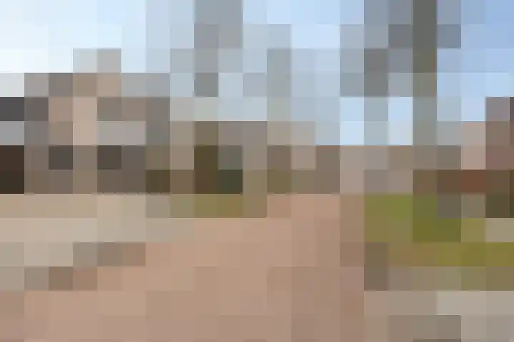 Zilverschoon 25 Genemuiden thumbnail 8