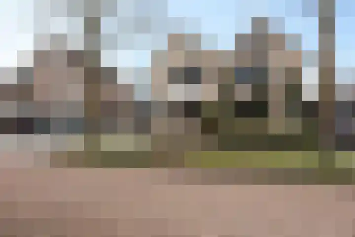 Zilverschoon 25 Genemuiden thumbnail 9