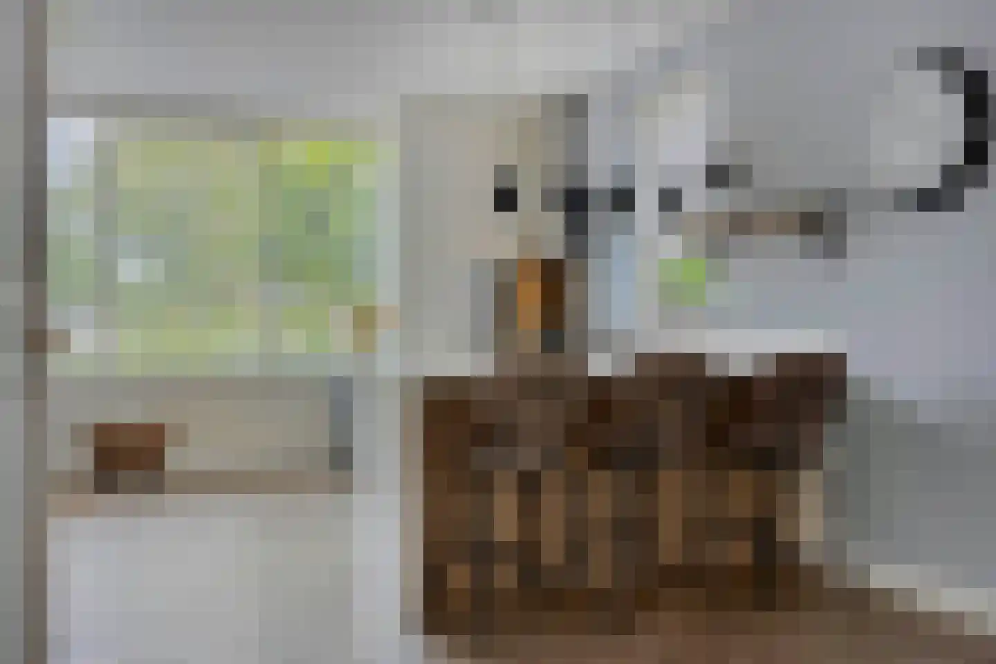 Zilverschoon 27 Bodegraven thumbnail 10