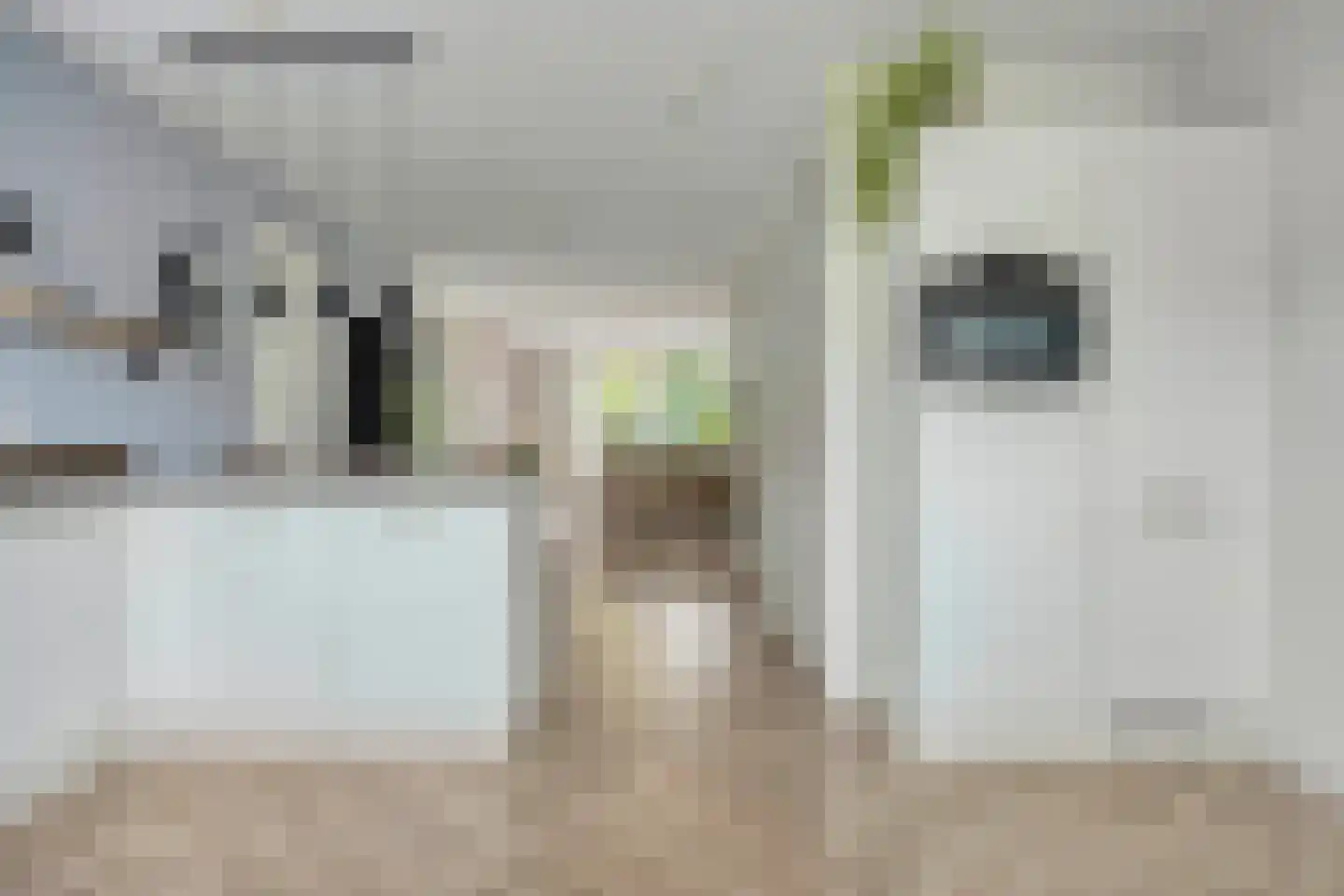 Zilverschoon 27 Bodegraven thumbnail 13