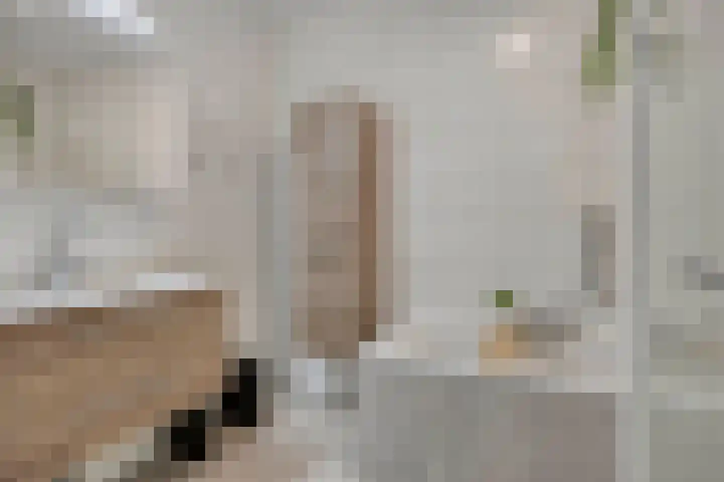 Zilverschoon 27 Bodegraven thumbnail 20