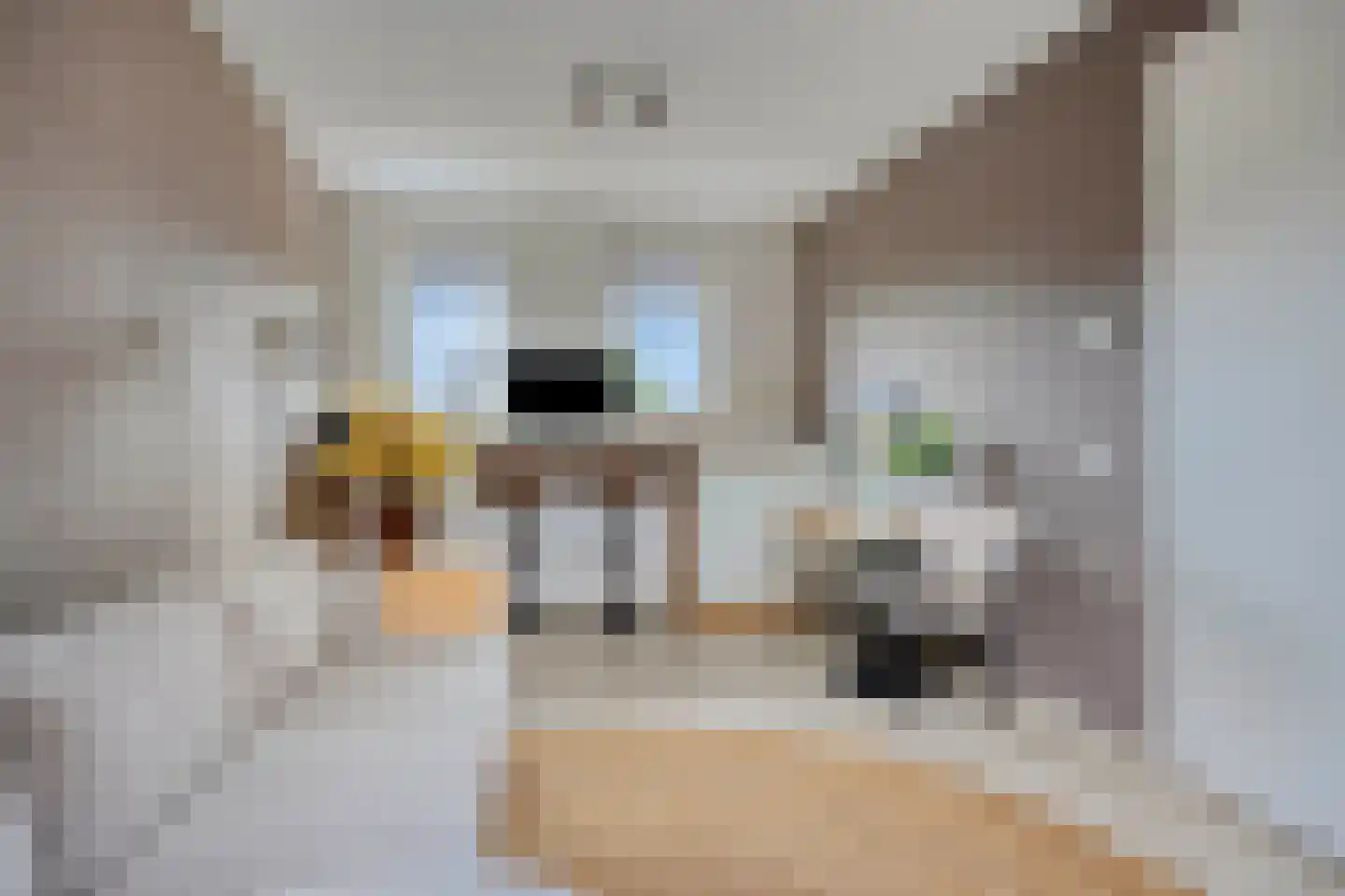 Zilverschoon 27 Bodegraven thumbnail 24