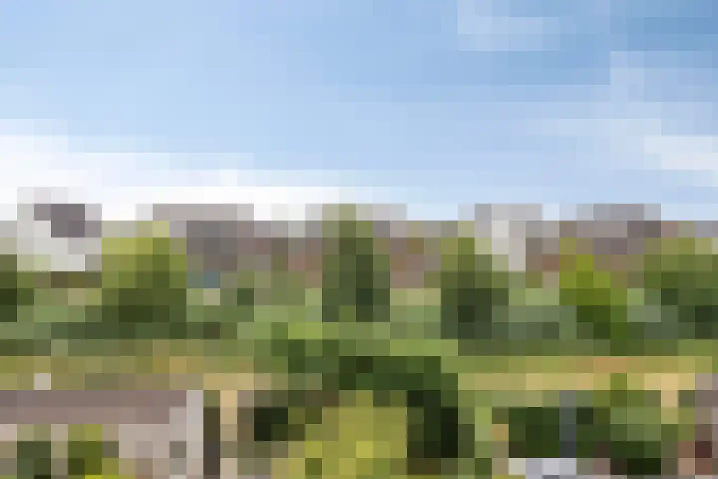 Zilverschoon 27 Bodegraven thumbnail 32