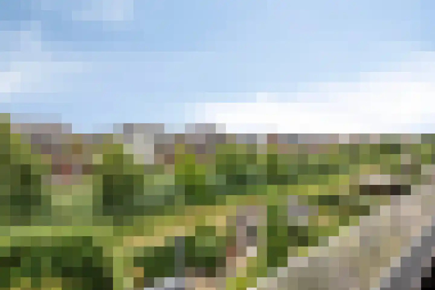 Zilverschoon 27 Bodegraven thumbnail 33