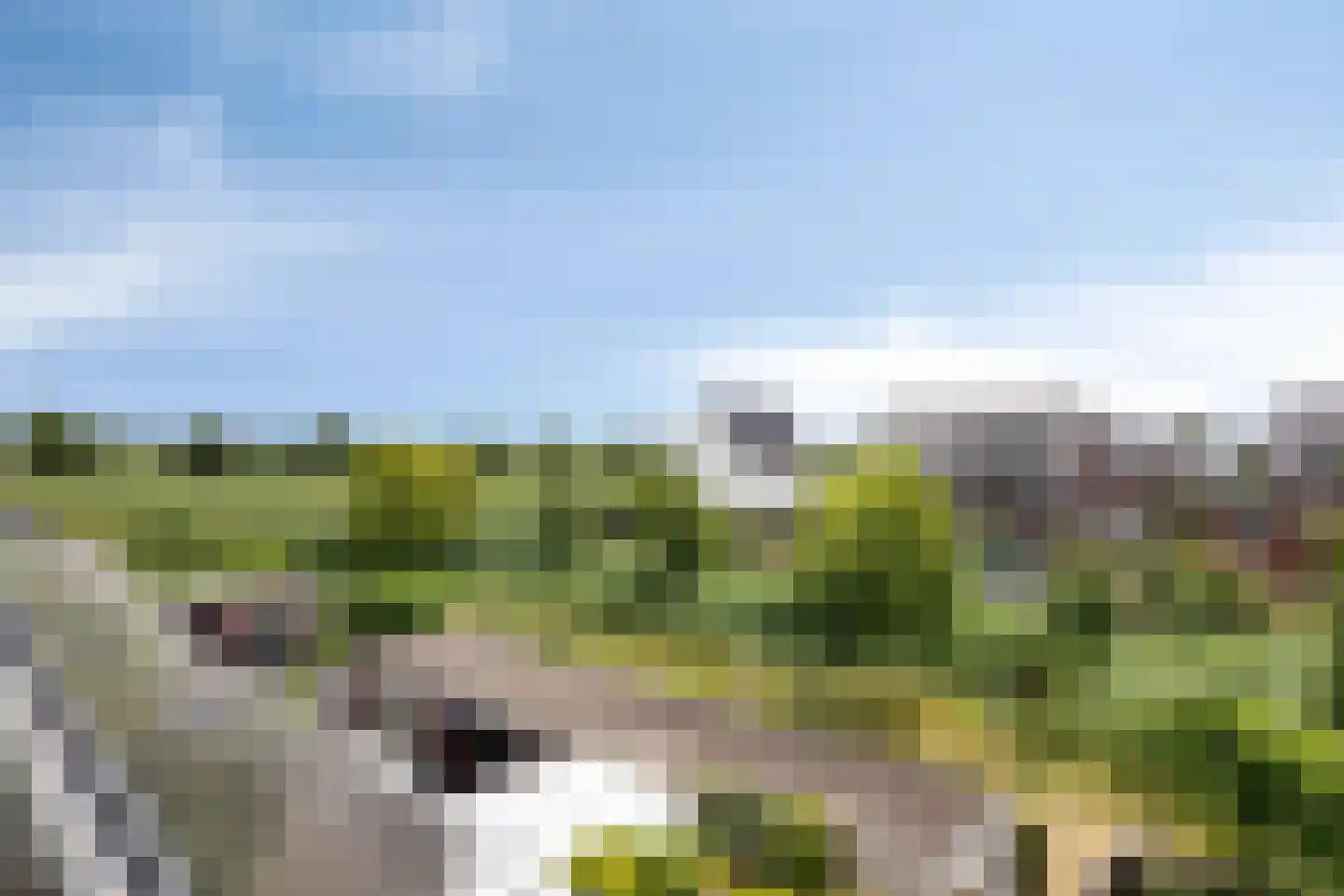 Zilverschoon 27 Bodegraven thumbnail 34