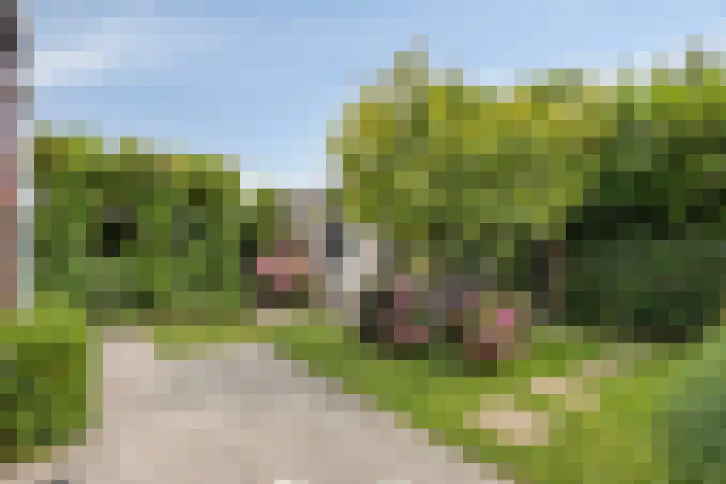 Zilverschoon 27 Bodegraven thumbnail 35