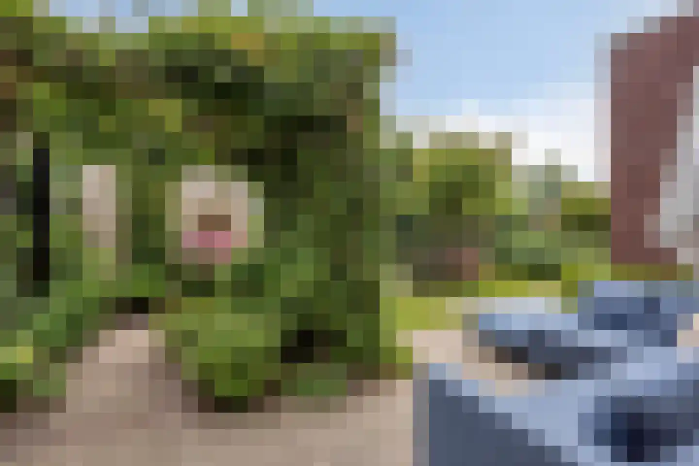 Zilverschoon 27 Bodegraven thumbnail 39