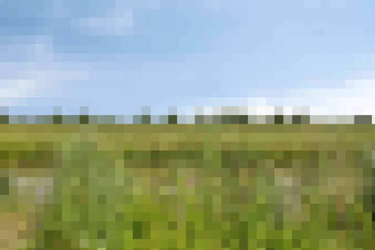 Zilverschoon 27 Bodegraven thumbnail 41
