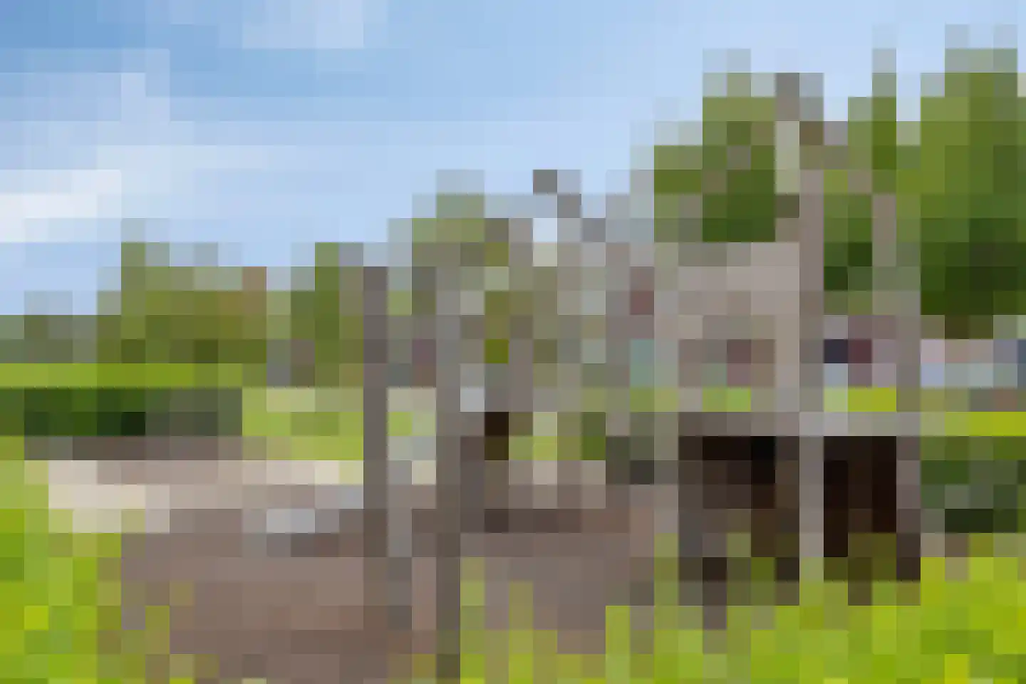 Zilverschoon 27 Bodegraven thumbnail 42
