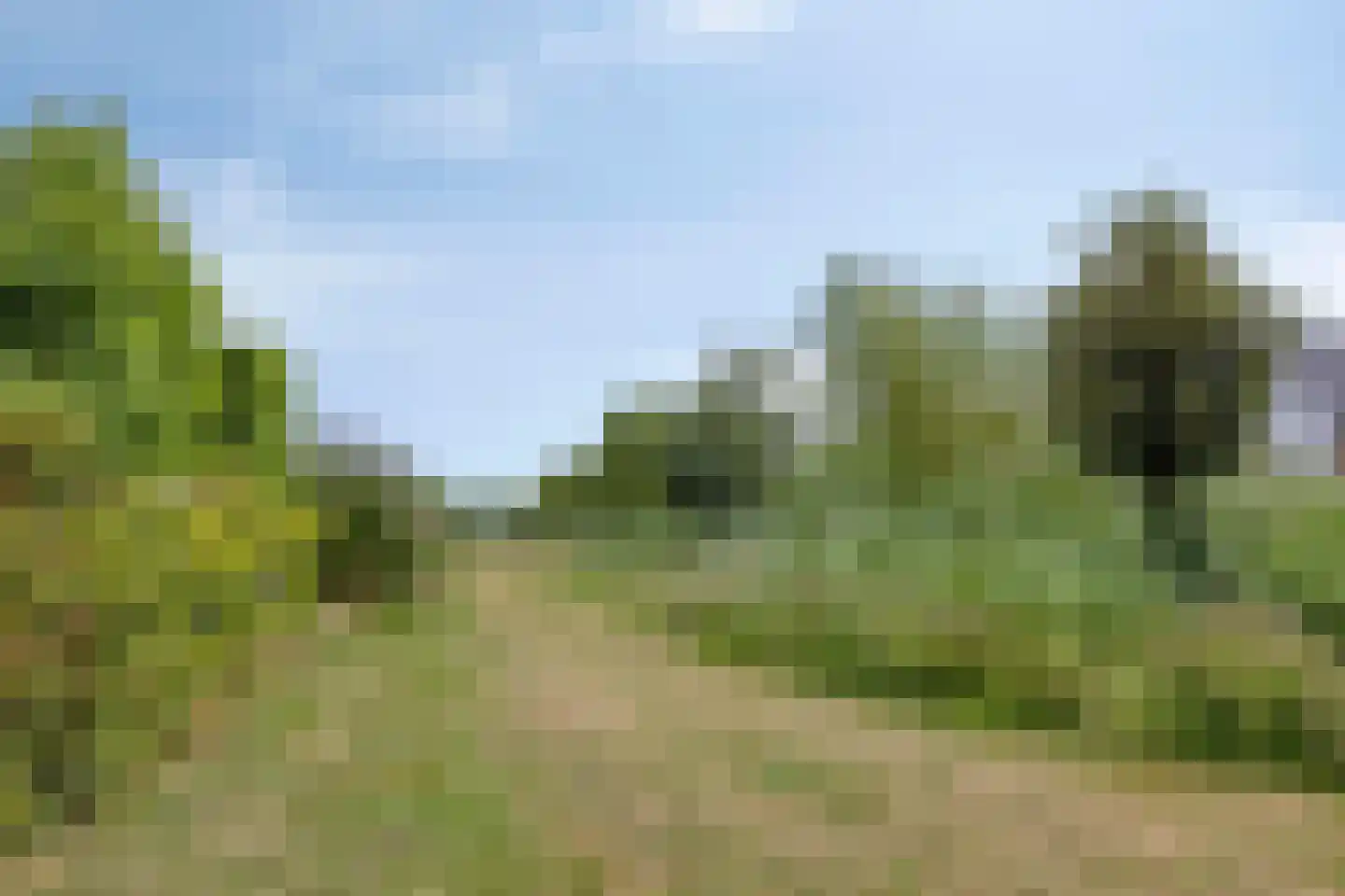 Zilverschoon 27 Bodegraven thumbnail 43