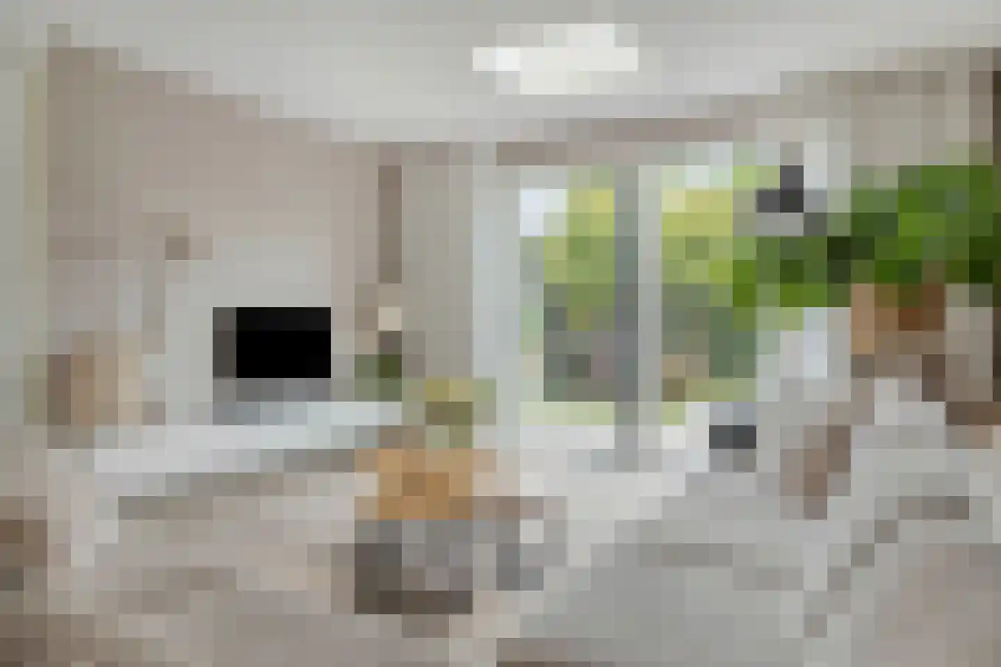 Zilverschoon 27 Bodegraven thumbnail 5