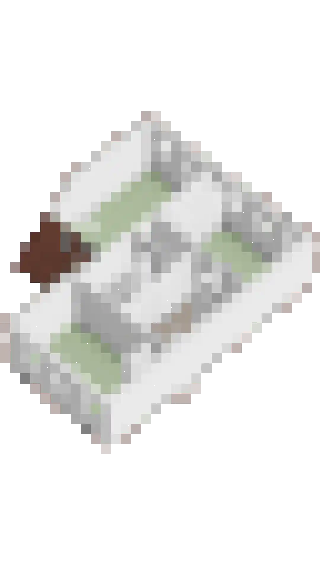 Zilverschoon 27 Bodegraven thumbnail 53