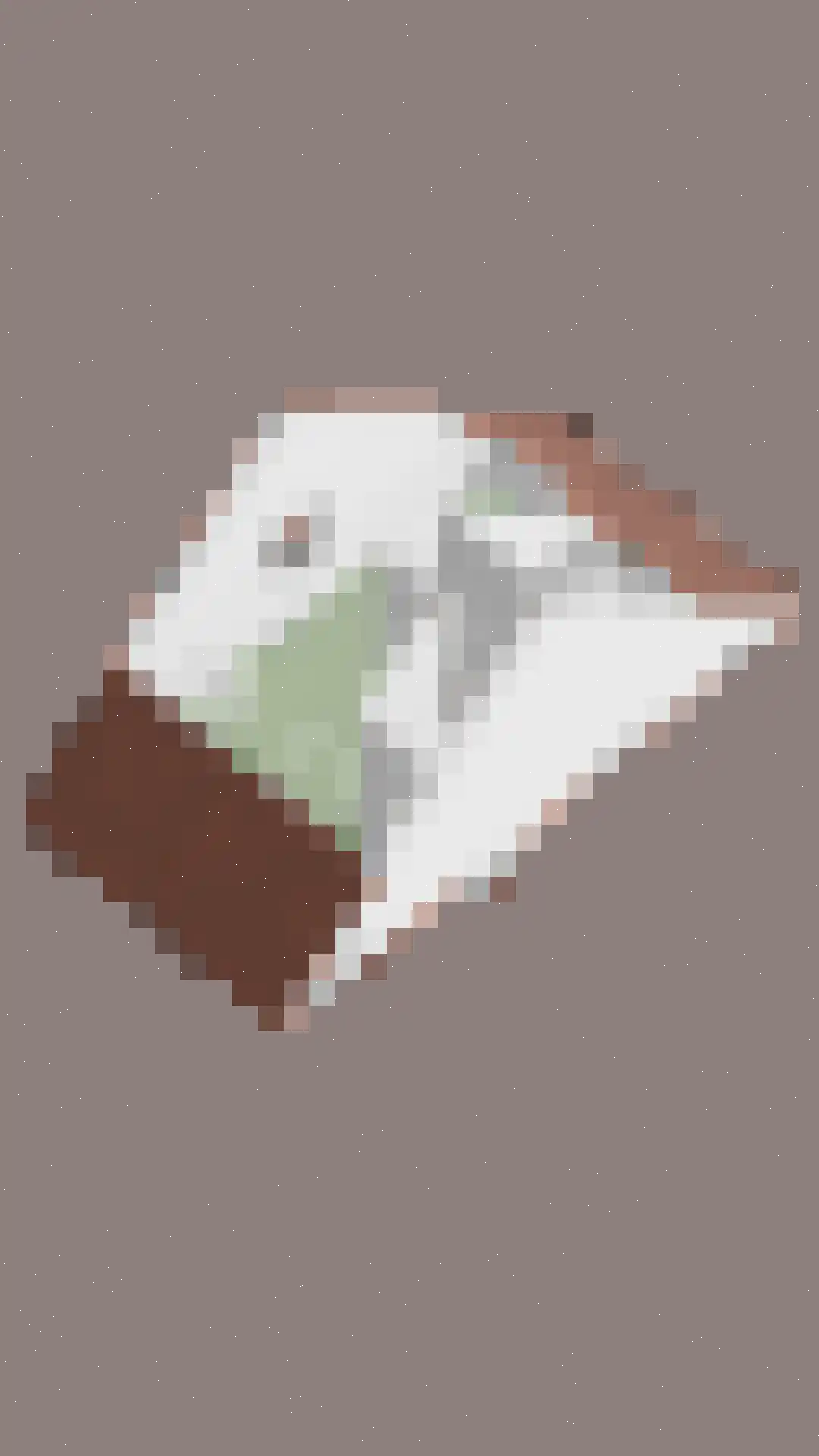 Zilverschoon 27 Bodegraven thumbnail 54