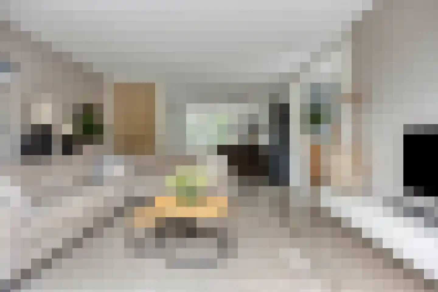 Zilverschoon 27 Bodegraven thumbnail 6