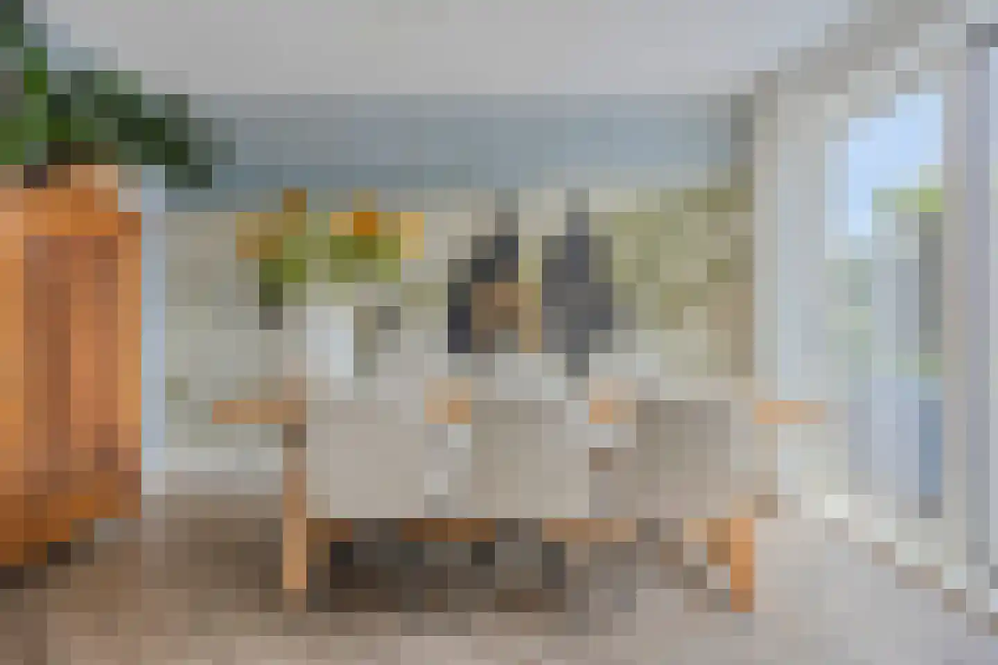 Zilverschoon 27 Bodegraven thumbnail 7